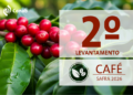 Produção de café deve ter alta de 18% e bater recorde na safra 2026