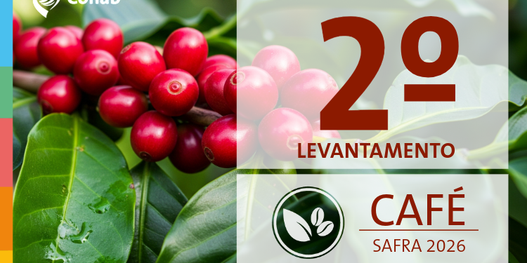 Produção de café deve ter alta de 18% e bater recorde na safra 2026