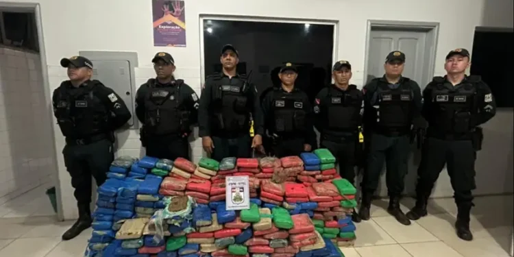 Polícia Militar apreende mais de 460 kg de maconha em São Domingos do Araguaia