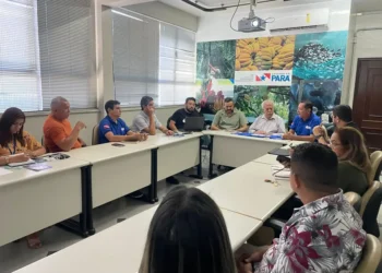 Sedap prepara 4ª Edição do Açaí Pará com foco no manejo do fruto em junho no Hangar