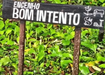 Bujaru avança na proteção ambiental e histórica com consulta pública para criação da unidade de conservação “Engenho Bom Intento”