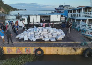 Base Fluvial Candiru apreende 10 toneladas de pirarucu em fiscalização a embarcação