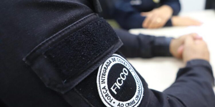 Forças de Segurança apreendem 730 quilos de drogas e efetuam 33 prisões pelo País