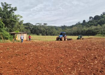 Prefeitura fortalece produção rural com mecanização agrícola e garante mais dignidade ao homem do campo