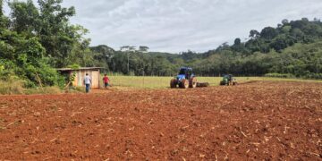 Prefeitura fortalece produção rural com mecanização agrícola e garante mais dignidade ao homem do campo
