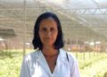 Mulheres que chefiam propriedades rurais terão pontuação a mais em novo programa da Prefeitura de Canaã dos Carajás