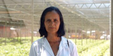 Mulheres que chefiam propriedades rurais terão pontuação a mais em novo programa da Prefeitura de Canaã dos Carajás