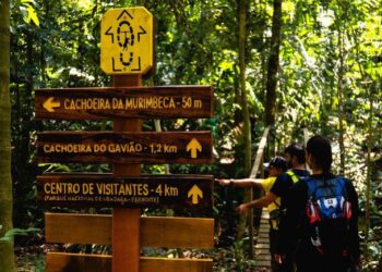 Turismo em Unidades de Conservação injetou R$ 40,7 bilhões na economia em 2025
