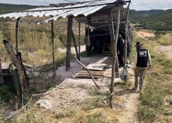 MTE resgata 69 trabalhadores em condições análogas à escravidão no interior da Bahia