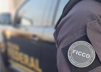 Em uma semana, FICCOs apreendem mais de 1,4 tonelada de drogas pelo País