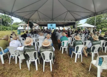 Com o apoio da Emater, apicultores paraenses participam de imersão tecnológica 