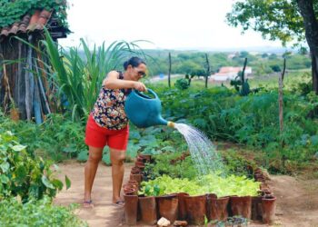 Programa de Aquisição de Alimentos completa 23 anos garantindo segurança alimentar e renda