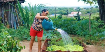 Programa de Aquisição de Alimentos completa 23 anos garantindo segurança alimentar e renda