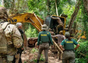 Governo do Brasil amplia repressão ao garimpo na Terra Sararé e ultrapassa mil operações