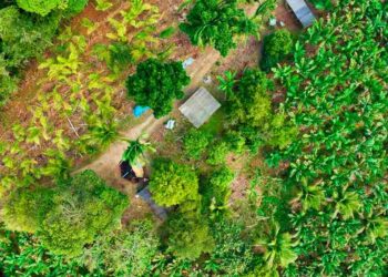 Prefeitura de Canaã dos Carajás realiza Semana do Meio Ambiente no mês de junho
