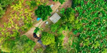 Prefeitura de Canaã dos Carajás realiza Semana do Meio Ambiente no mês de junho
