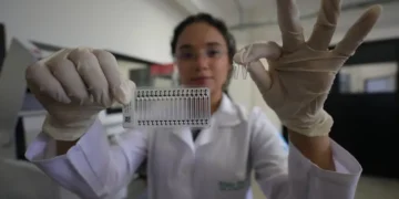 Pará faz chamada pública para fixar talentos científicos