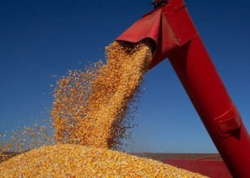 Conab estima sagra de grãos em mais de 360 milhões de toneladas