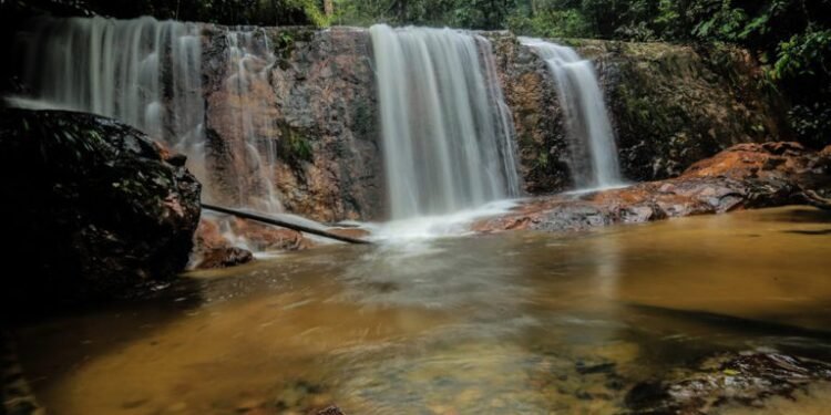 Nove estados, um bioma: descubra a diversidade do turismo na Amazônia brasileira